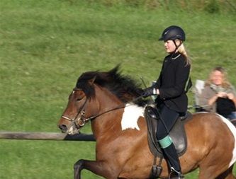Hreinsun frá Köldukinn
IS2004256408